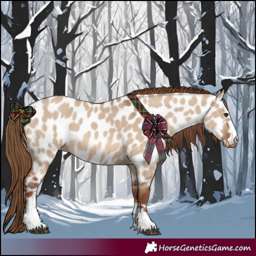 Horse Color:Red Dun Near Leopard