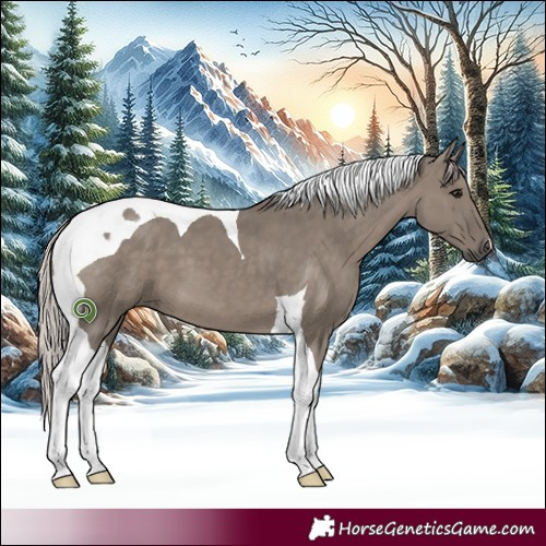 Horse Color:Silver Grullo Mushroom Tobiano 