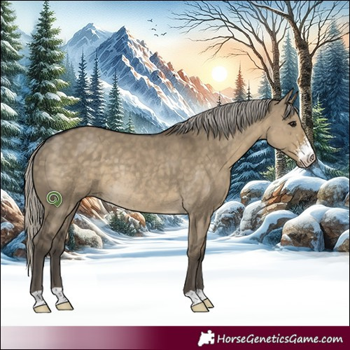 Horse Color:Silver Smoky Grullo Sabino Rabicano 