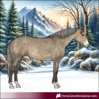 Horse Color:Silver Smoky Grullo Sabino Rabicano