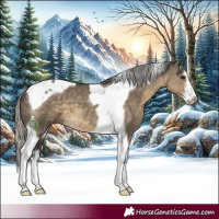 Horse Color:White Spotted Silver Smoky Grullo Tobiano