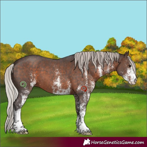 Horse Color:White Spotted Silver Brown 