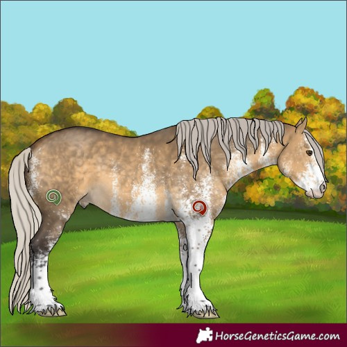Horse Color:White Spotted Silver Buckskin Dun 