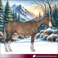 Horse Color:White Spotted Silver Brown Dun Rabicano 