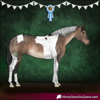 Horse Color:Brown Dun Tobiano Rabicano
