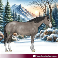 Horse Color:White Spotted Grullo Rabicano 