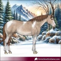 Horse Color:Liver Red Dun Sabino Tobiano Rabicano 