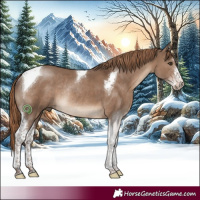 Horse Color:Liver Red Dun Sabino Tobiano Rabicano