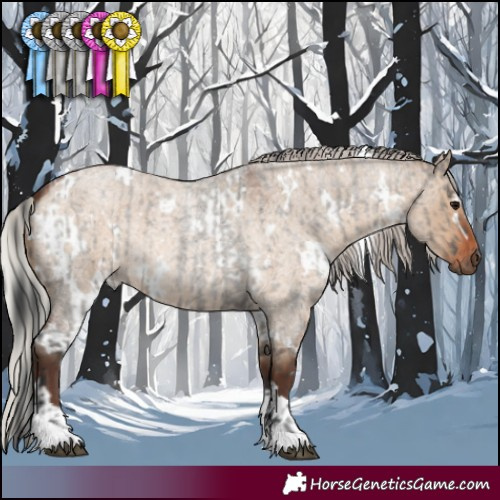 Horse Color:Grullo Roan Tobiano Rabicano  and White Spotted Silver Brown Roan Dun 