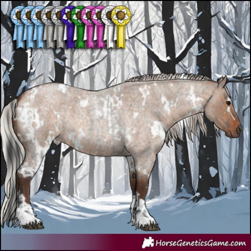 Horse Color:Grullo Roan Tobiano Rabicano  and White Spotted Silver Brown Roan Dun 