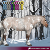 Horse Color:Grullo Roan Tobiano Rabicano and White Spotted Silver Brown Roan Dun