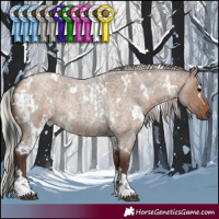 Horse Color:Grullo Roan Tobiano Rabicano  and White Spotted Silver Brown Roan Dun 
