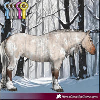 Horse Color:Grullo Roan Tobiano Rabicano  and White Spotted Silver Brown Roan Dun 