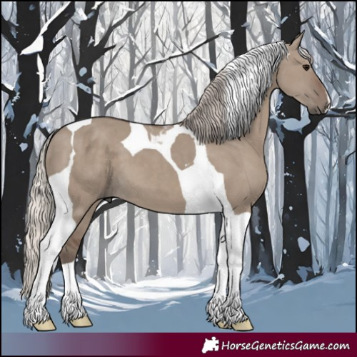 Horse Color:Silver Grullo Tobiano 