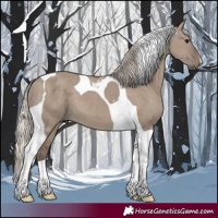 Horse Color:Silver Grullo Tobiano 