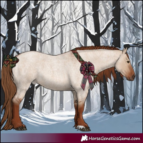 Horse Color:Red Dun Roan 