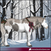 Horse Color:Grullo Sabino Splash  and Silver Grullo Sabino Splash 