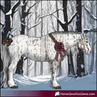 Horse Color:Grullo Sabino Splash  and Gray Grullo Sabino Splash 