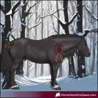 Horse Color:Smoky Black 