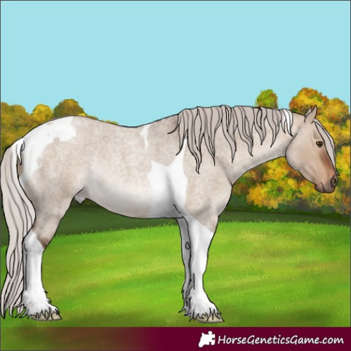 Horse Color:Silver Bay Roan Dun Tobiano Rabicano
