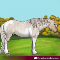 Horse Color:Silver Bay Roan Dun Tobiano Rabicano