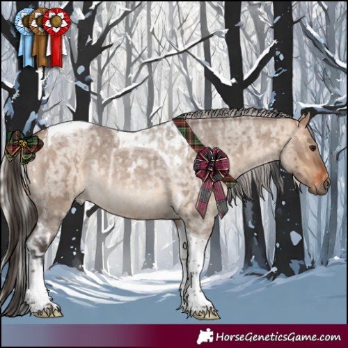 Horse Color:Bay Roan Dun Tobiano Rabicano  and Silver Brown Roan Dun Tobiano Rabicano 
