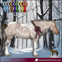 Horse Color:Bay Roan Dun Tobiano Rabicano and Silver Brown Roan Dun Tobiano Rabicano