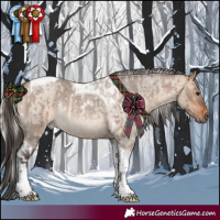 Horse Color:Bay Roan Dun Tobiano Rabicano  and Silver Brown Roan Dun Tobiano Rabicano 