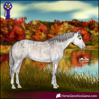 Horse Color:Silver Brown Roan Dun and Silver Brown Roan Dun Sabino