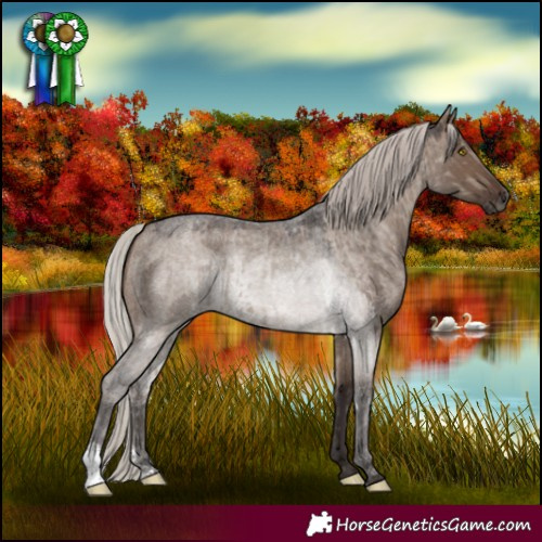 Horse Color:Silver Grullo Roan  and Silver Brown Roan Dun 