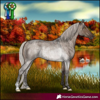 Horse Color:Silver Grullo Roan  and Silver Brown Roan Dun 