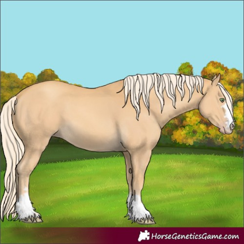 Horse Color:Gold Cream Champagne 