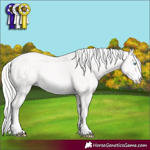 Horse Color:Cremello 