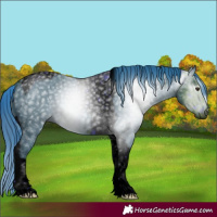 Horse Color:ERROR: UNKNOWN ANOMALY