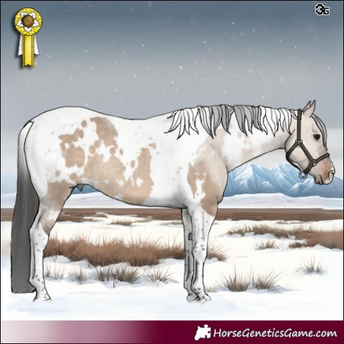 Horse Color:White Spotted Brown Dun Tobiano Rabicano 