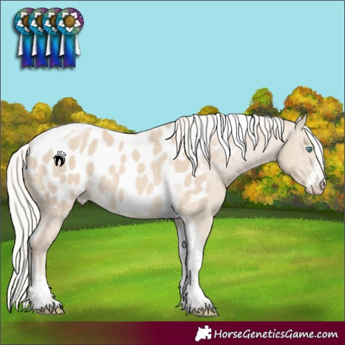 Horse Color:Silver Smoky Creme Dun Sabino Tobiano Near Leopard 