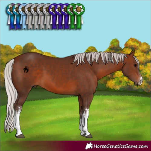 Horse Color:White Spotted Silver Brown 