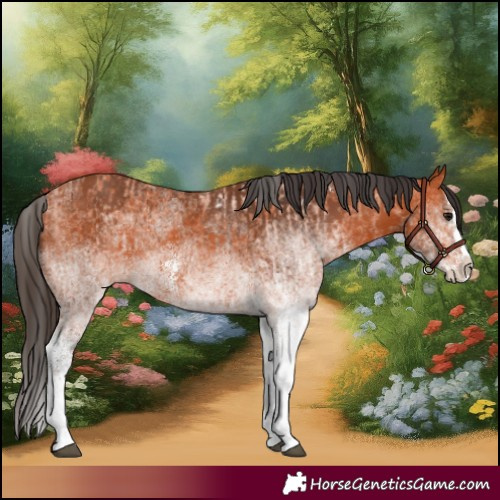 Horse Color:White Spotted Bay Splash  and White Spotted Bay Splash 