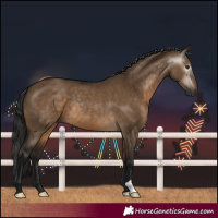 Horse Color:Gray Bay Dun