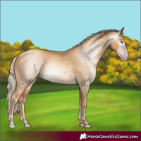 Horse Color:Gray Gold Cream Champagne 