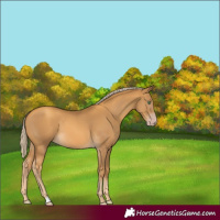 Horse Color:Gray Gold Cream Champagne 