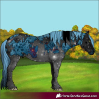 Horse Color:ERROR: UNKNOWN ANOMALY