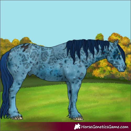 Horse Color:ERROR: UNKNOWN ANOMALY