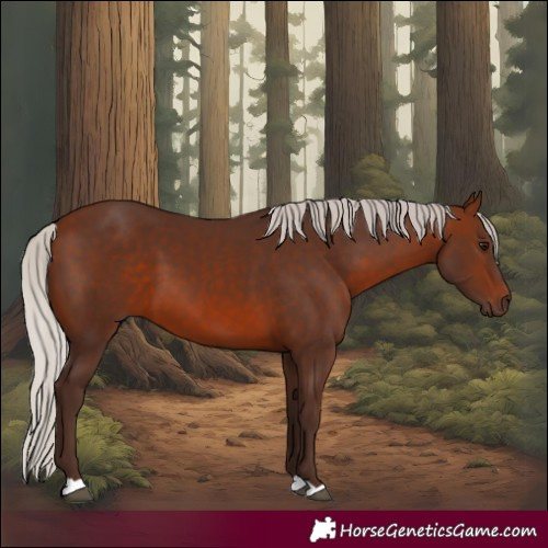 Horse Color:Silver Brown 
