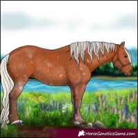 Horse Color:Silver Bay 