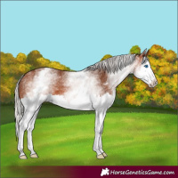 Horse Color:White Spotted Silver Brown Splash