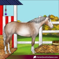 Horse Color:Gray Silver Amber Champagne Splash 