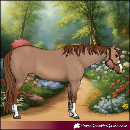 Horse Color:Red Dun 
