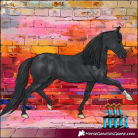 Horse Color:Black 