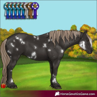 Horse Color:White Spotted Liver Chestnut 